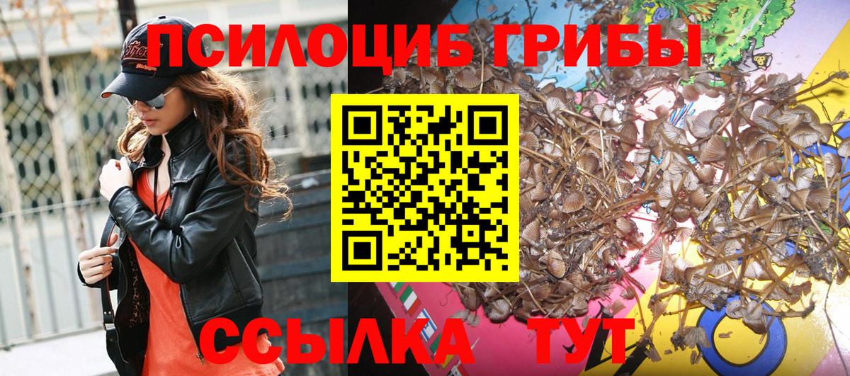 Псилоцибиновые грибы мухоморы Тамбов