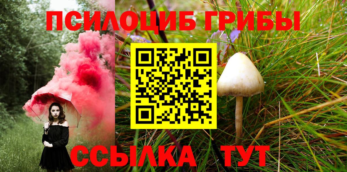 Галлюциногенные грибы мицелий  даркнет сайт  Тамбов  Вход с VPN 